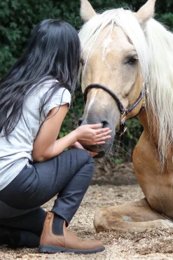 New Work Chelsea Boots