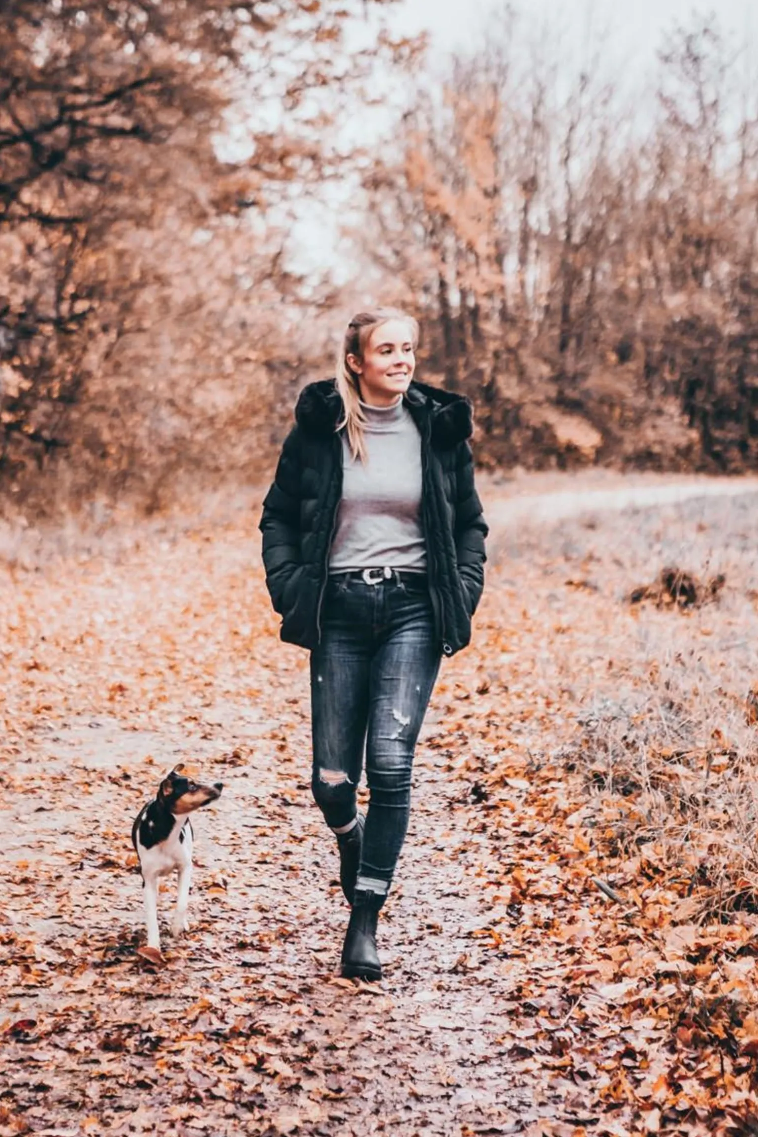 New Work Winter-Stiefeletten Chelsea