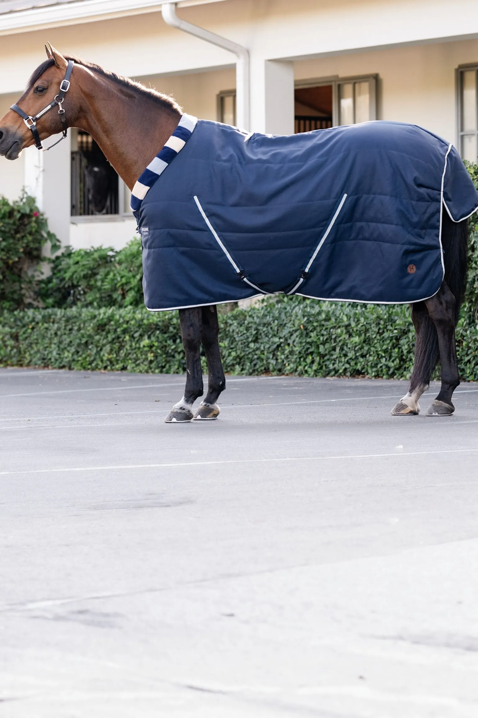 Newmarket Cosy Stalldecke 100g