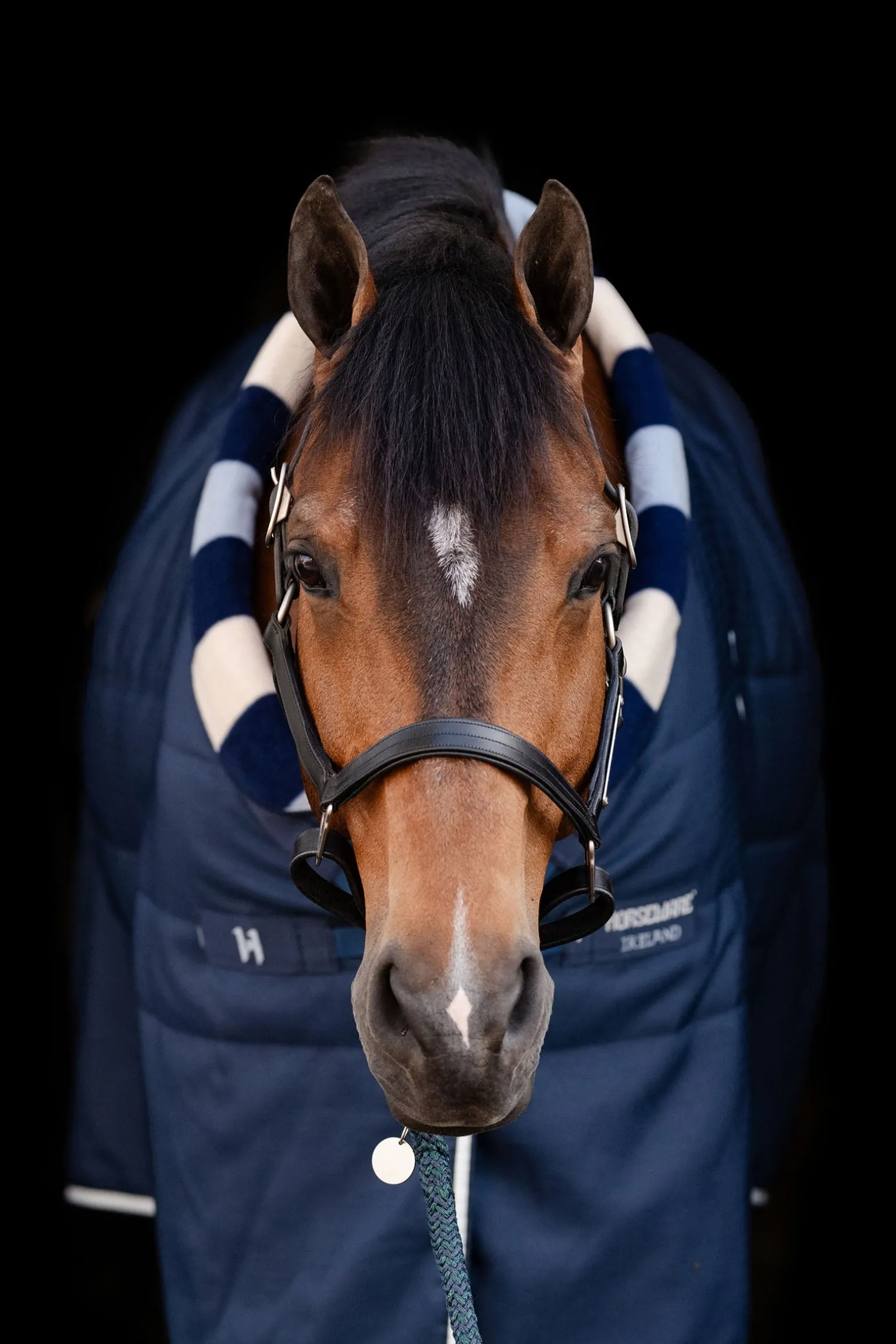 Newmarket Cosy Stalldecke 100g