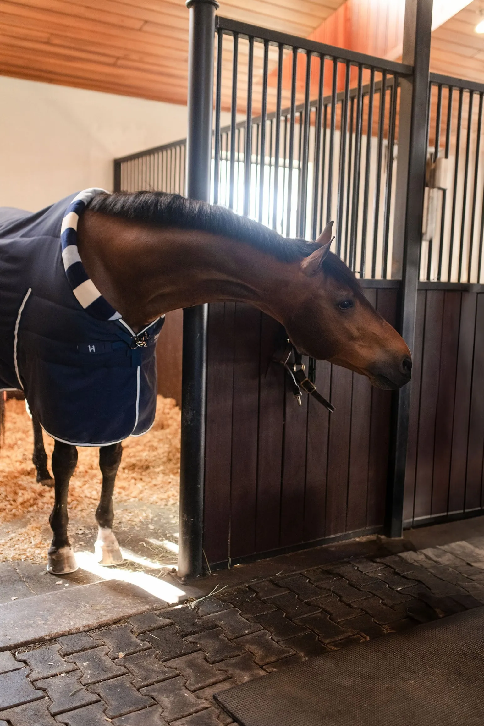 Newmarket Cosy Stalldecke 100g