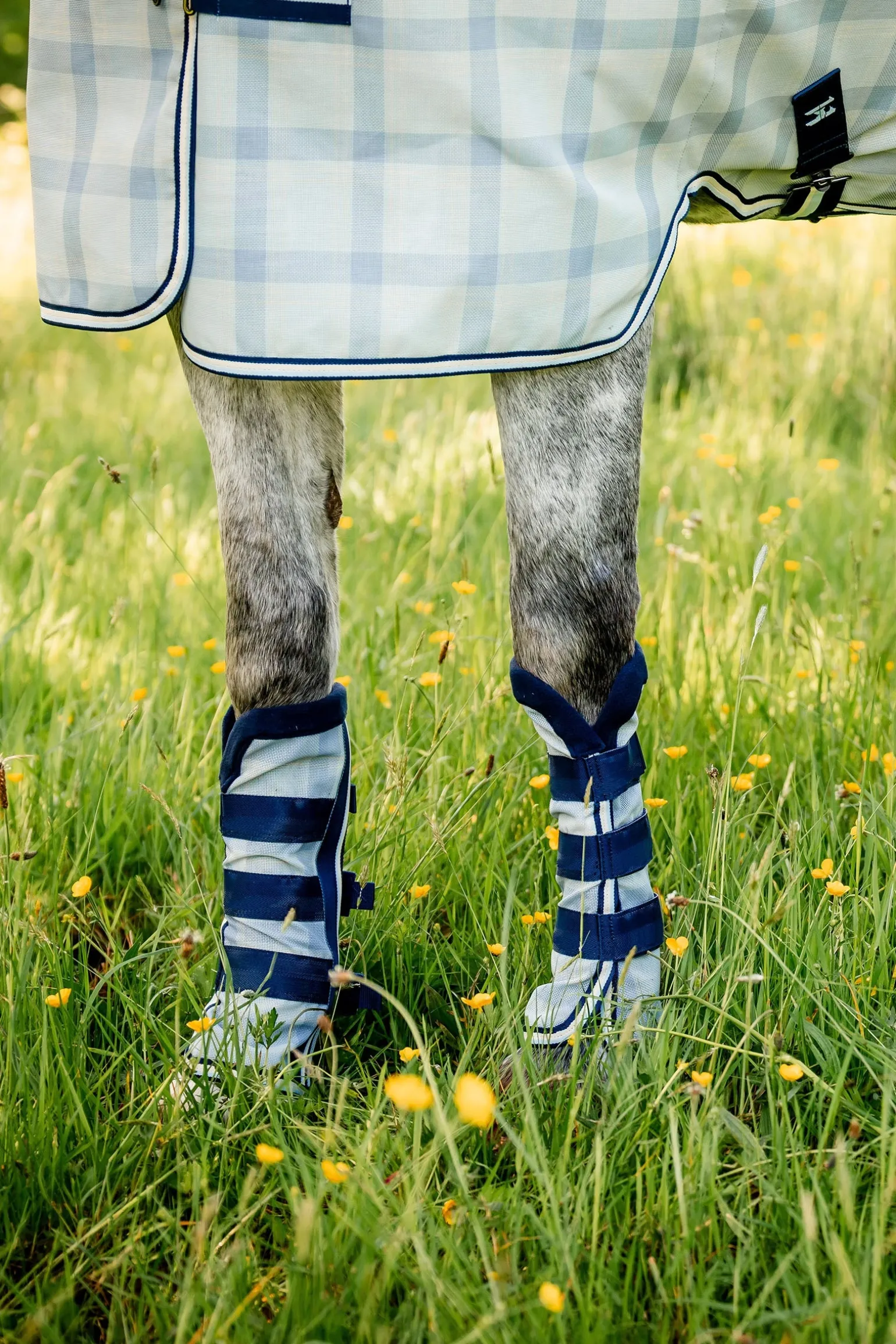 Newmarket Fly Boots - Set aus 2