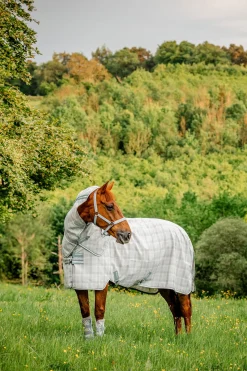 Newmarket Plus Fliegendecke