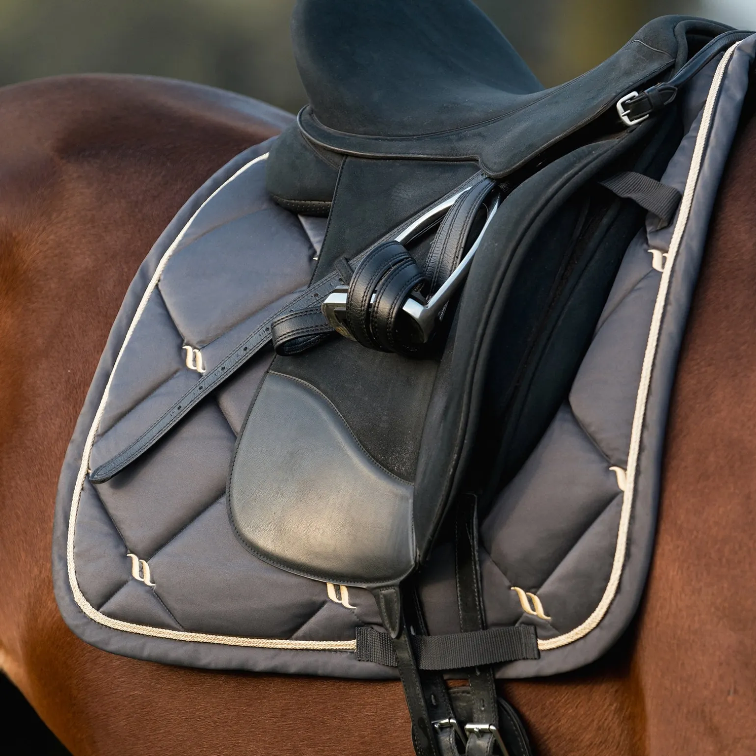 Nights Collection Schabracke Dressur