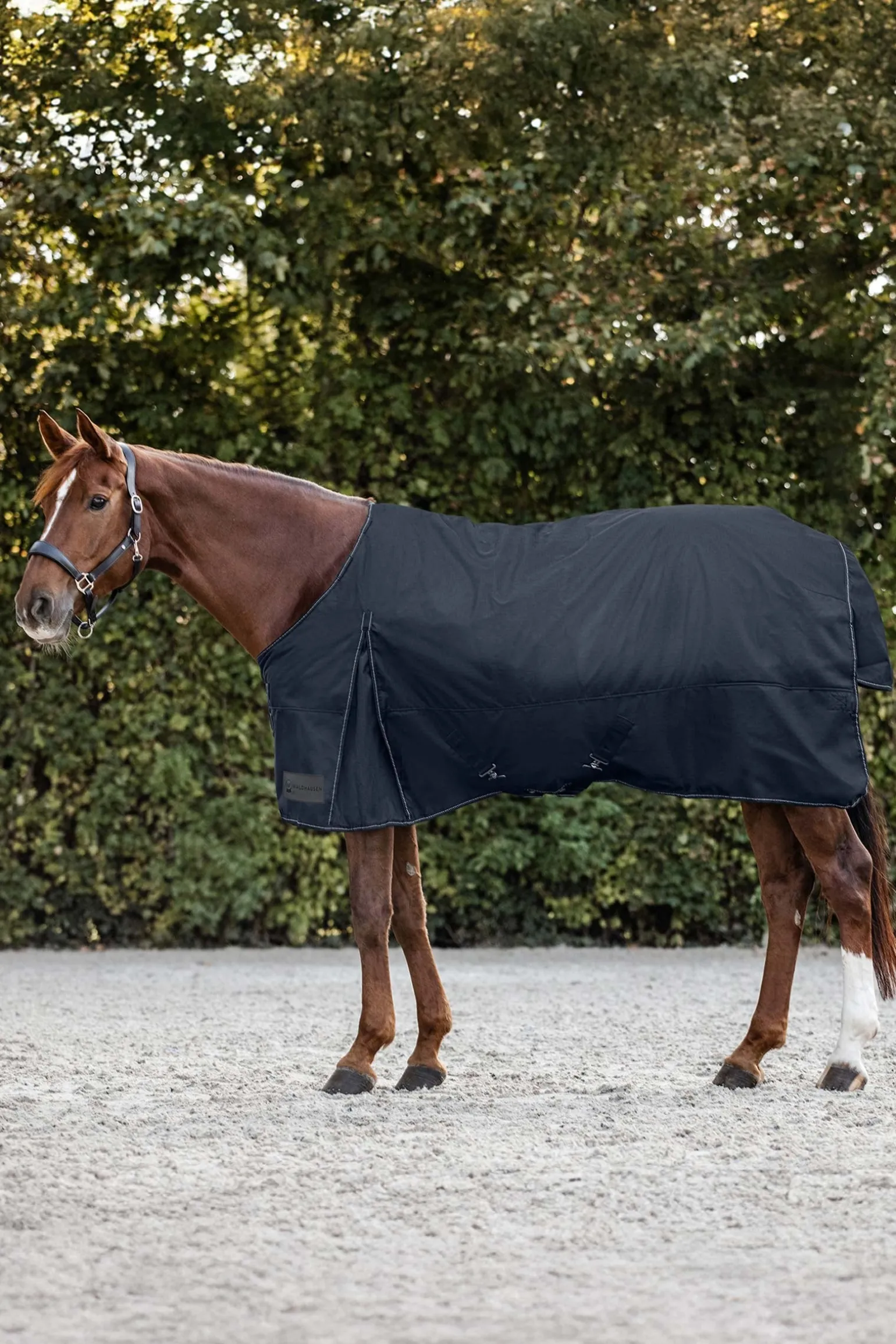 Nordic Weidedecke, 200 g