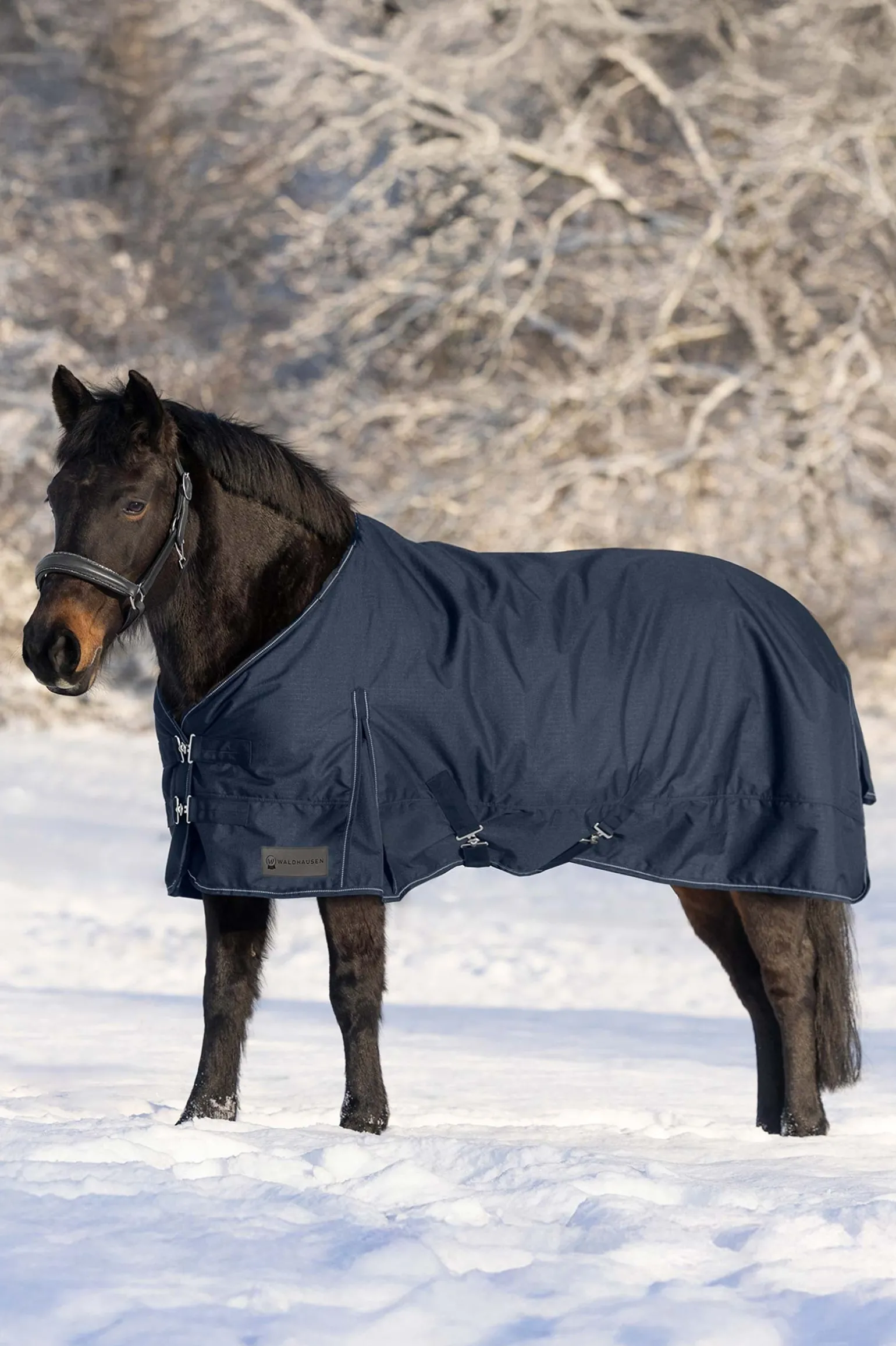 Nordic Weidedecke, 200 g