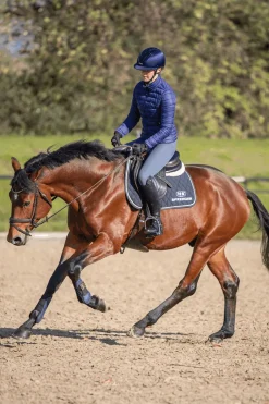 Novocontact Olivenkopfgebiss 14mm Einfach Gebrochen Sensogan Mit D-Förmigen Ringen