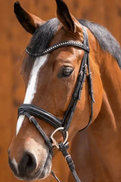 Novocontact Oliv.K.TR. Doppelt Gebr.