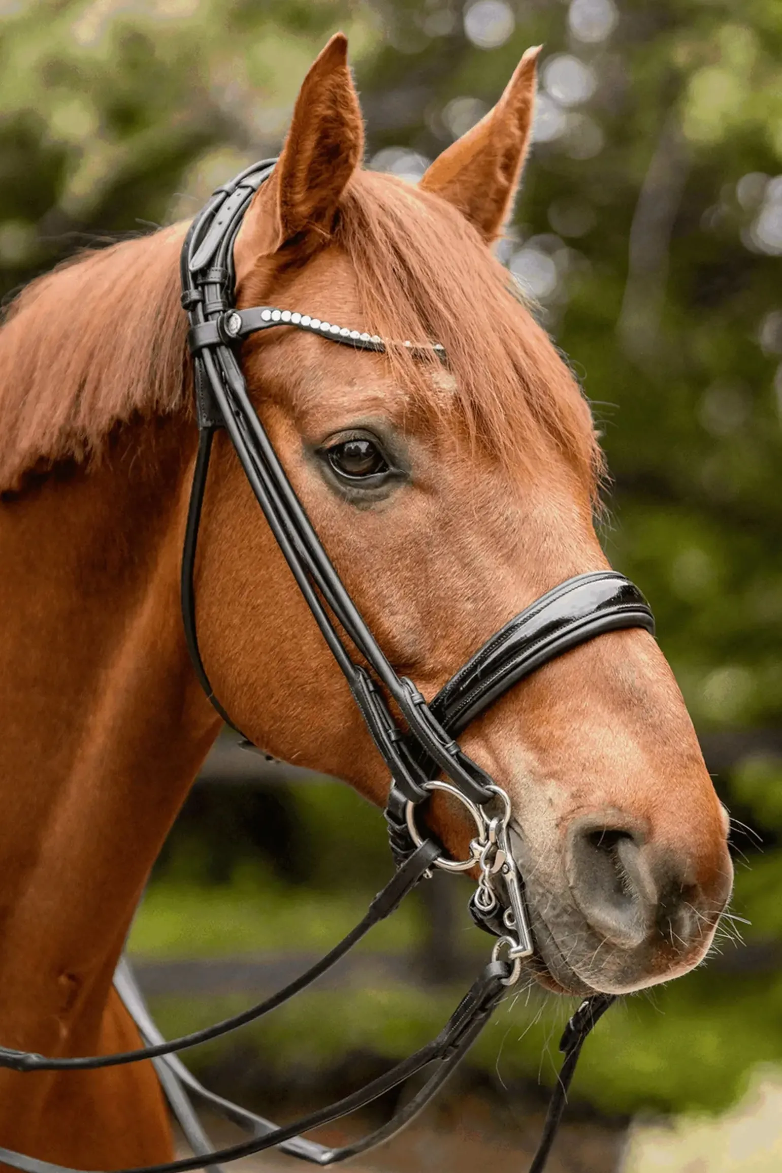 Novocontact Weymouth 14mm Sensogan mit 5cm Edelstahl-Schenkeln