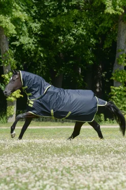 Oasis Weidedecke + Halsteil Set, 100g