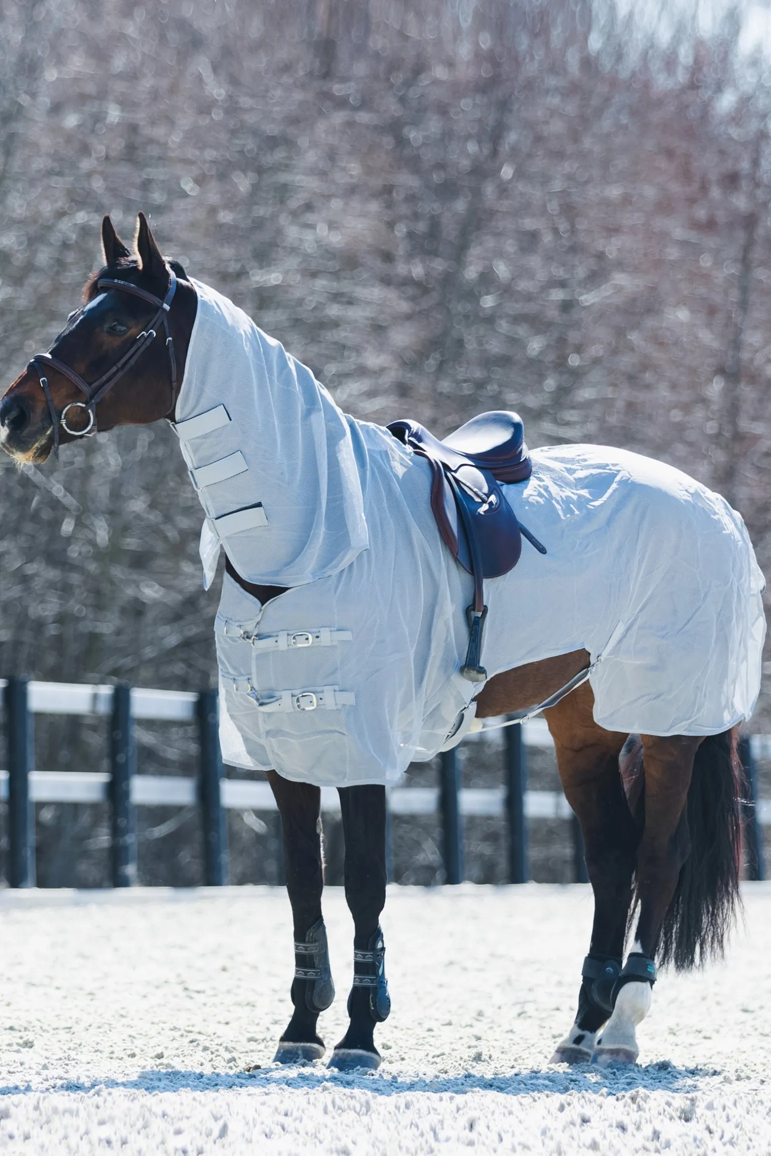 Orleans Fliegen-Ausreitdecke