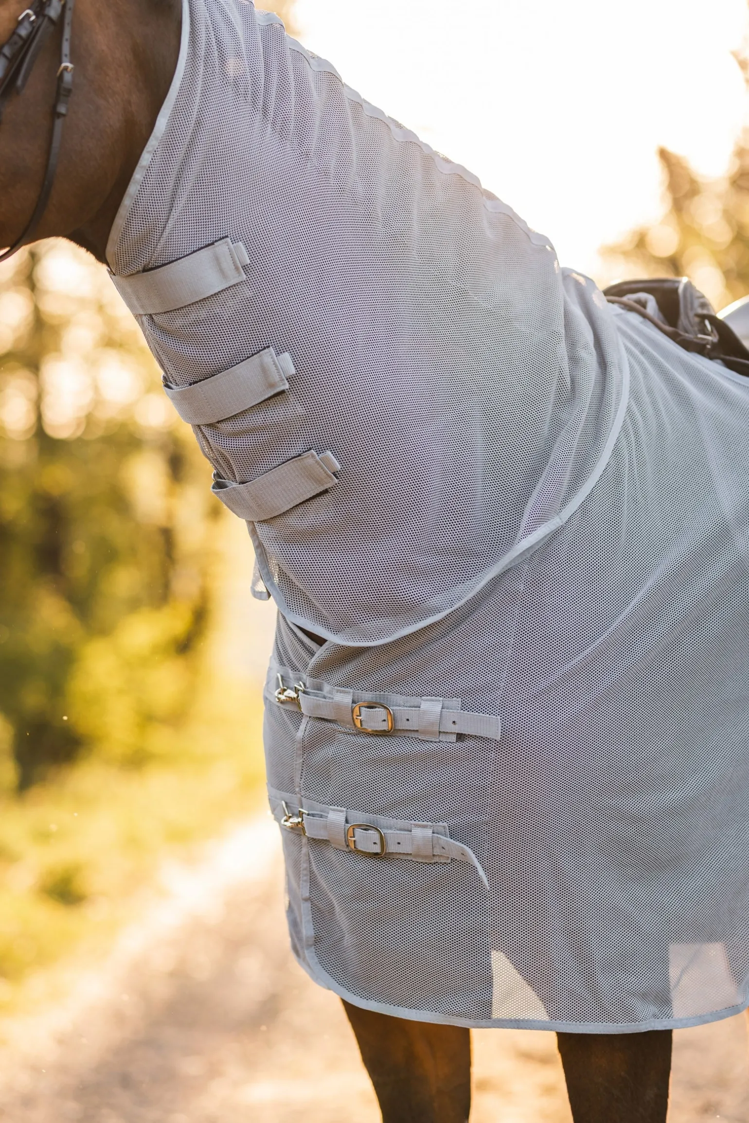 Orleans Fliegen-Ausreitdecke