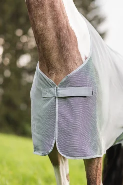 Orleans Fliegendecke