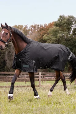 Outdoor Rug Scandic Light