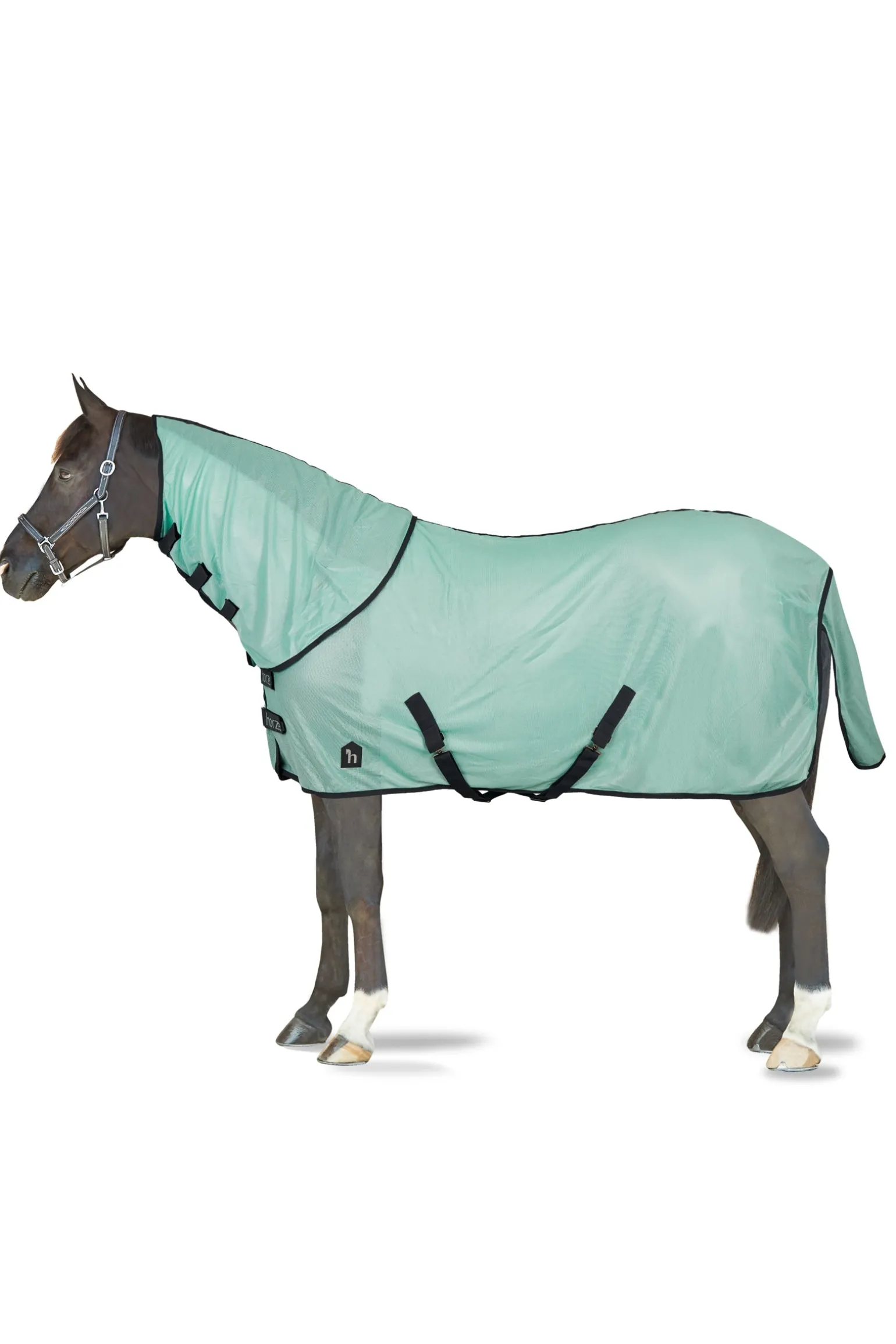 Paso Fino Fliegendecke mit abnehmbarem Halsteil und UV Schutz