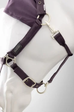 Paso Fino Halfter mit Fliegenmaske