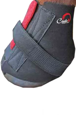 Pastern Wraps, Ballenschutz, XL