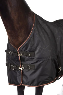 Pegasus Pony Regendecke 200 g/m²