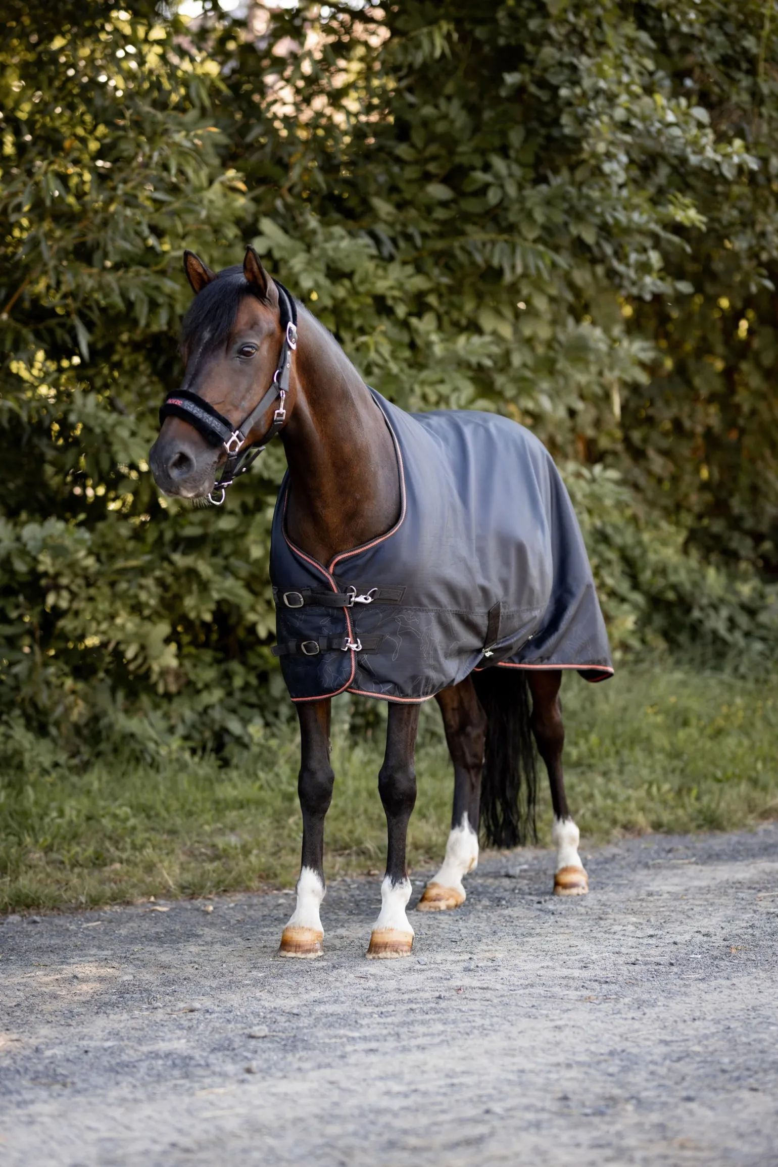 Pegasus Pony Regendecke mit Fleecefutter
