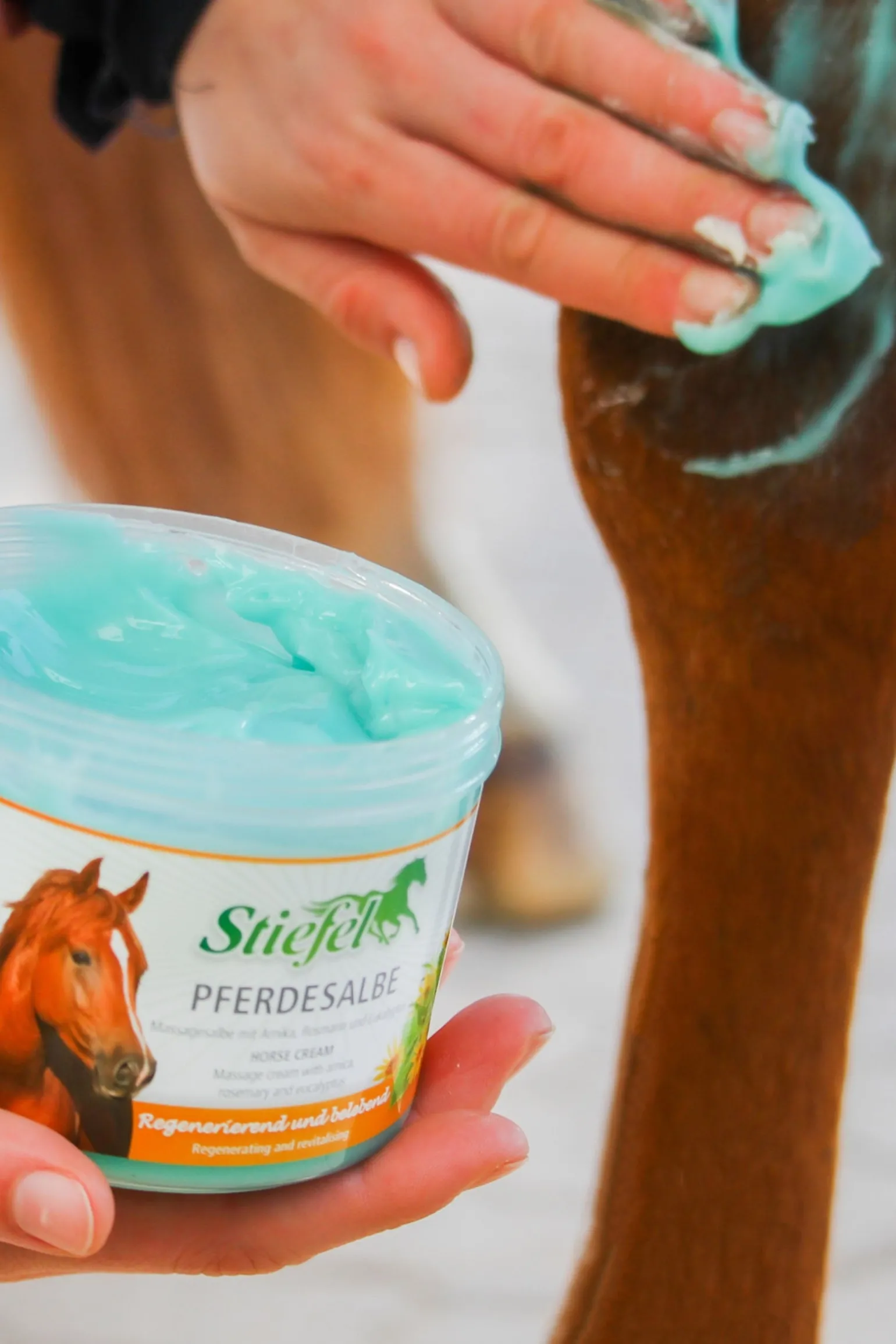 Pferdesalbe