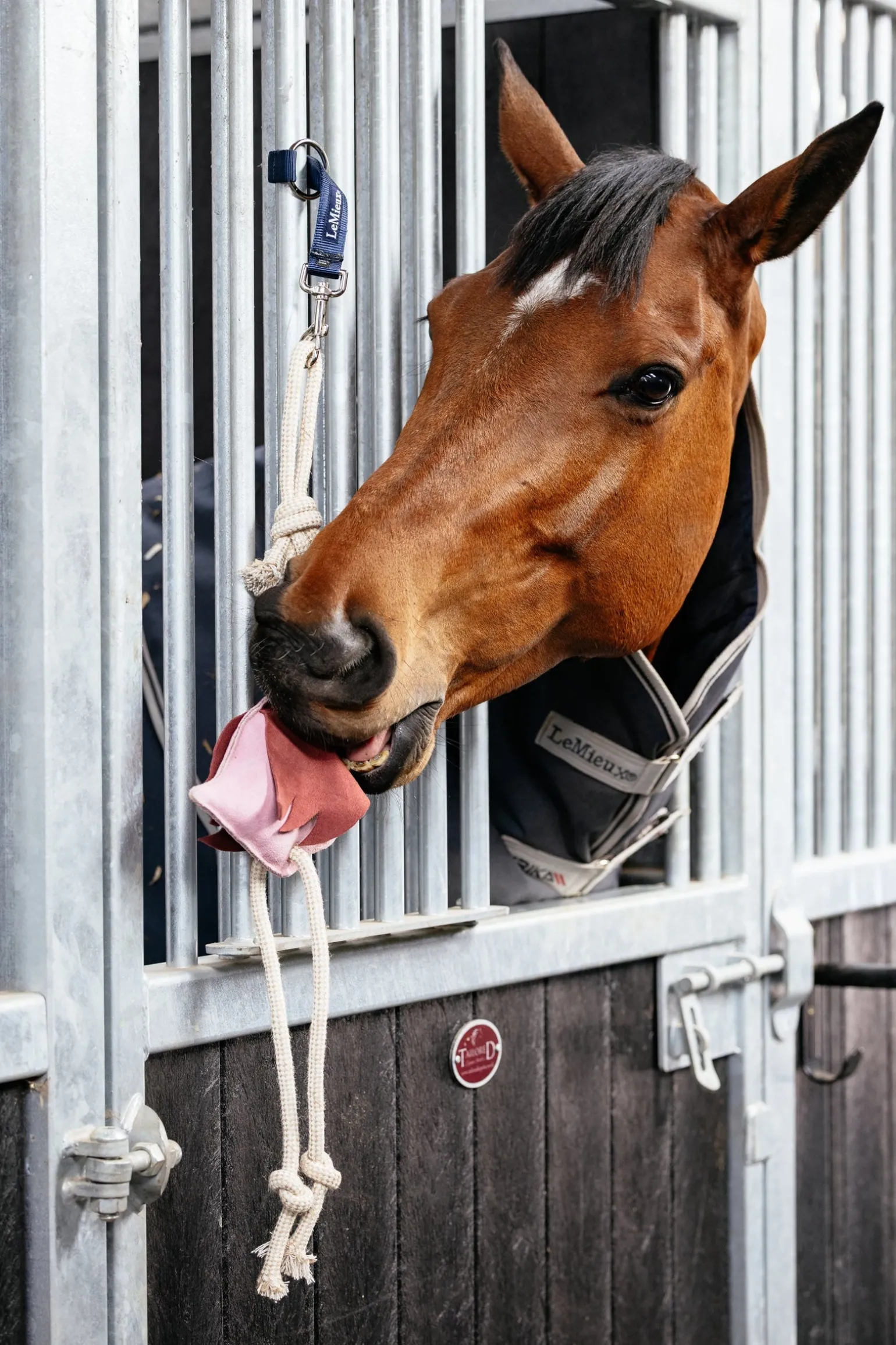 Pferdespielzeug Flamingo