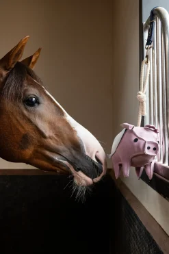 Pferdespielzeug Fliegendes Schwein