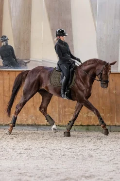 Philadelphia Dressage Saddle Pad