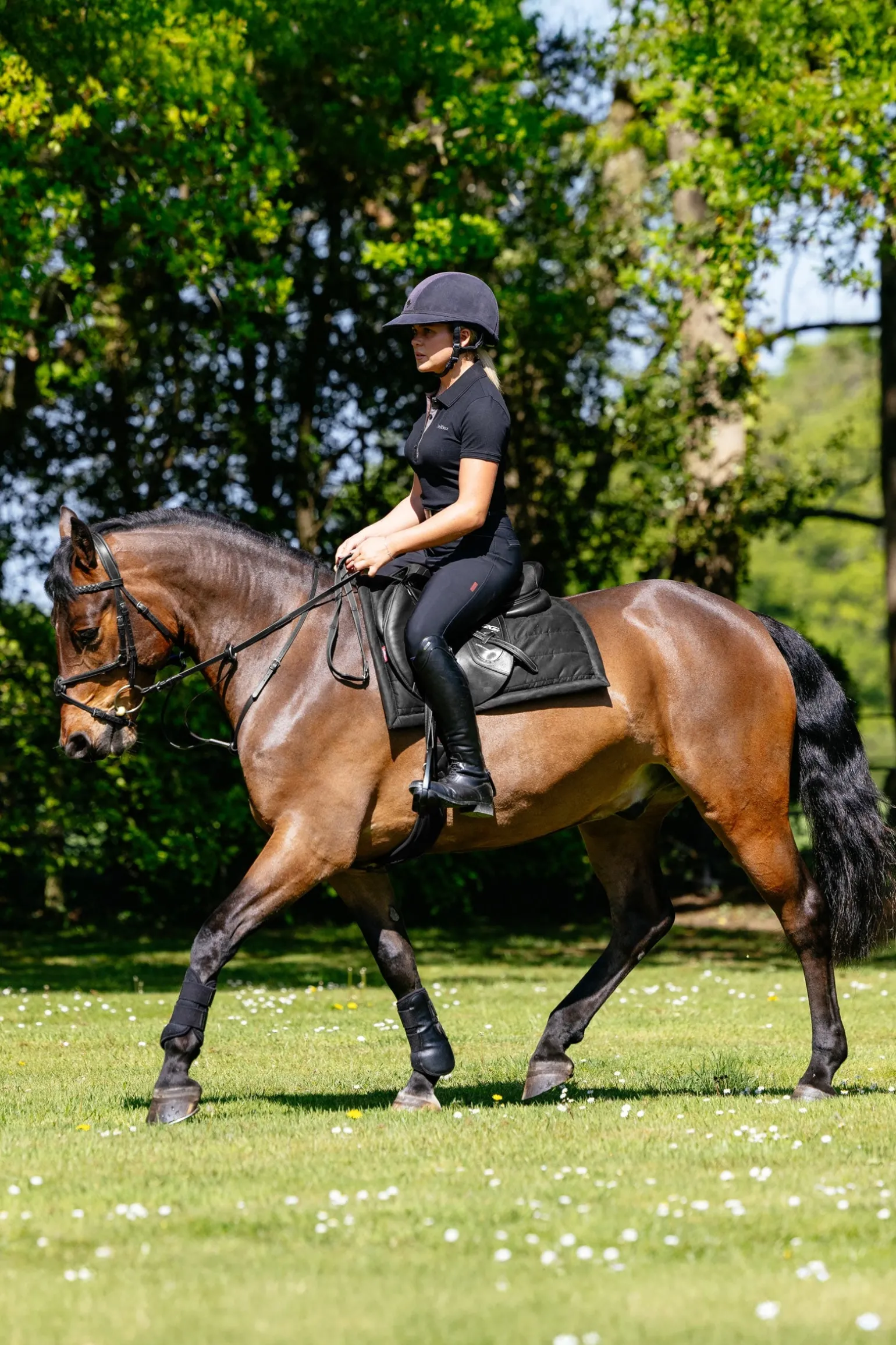 Pillow gepolsterte Vielseitigkeitsschabracke