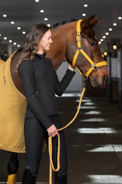 Platinum 25 Doppelte Pin Halfter aus Kunstleder