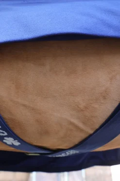 Power Abschwitzdecke + Halsteil Set