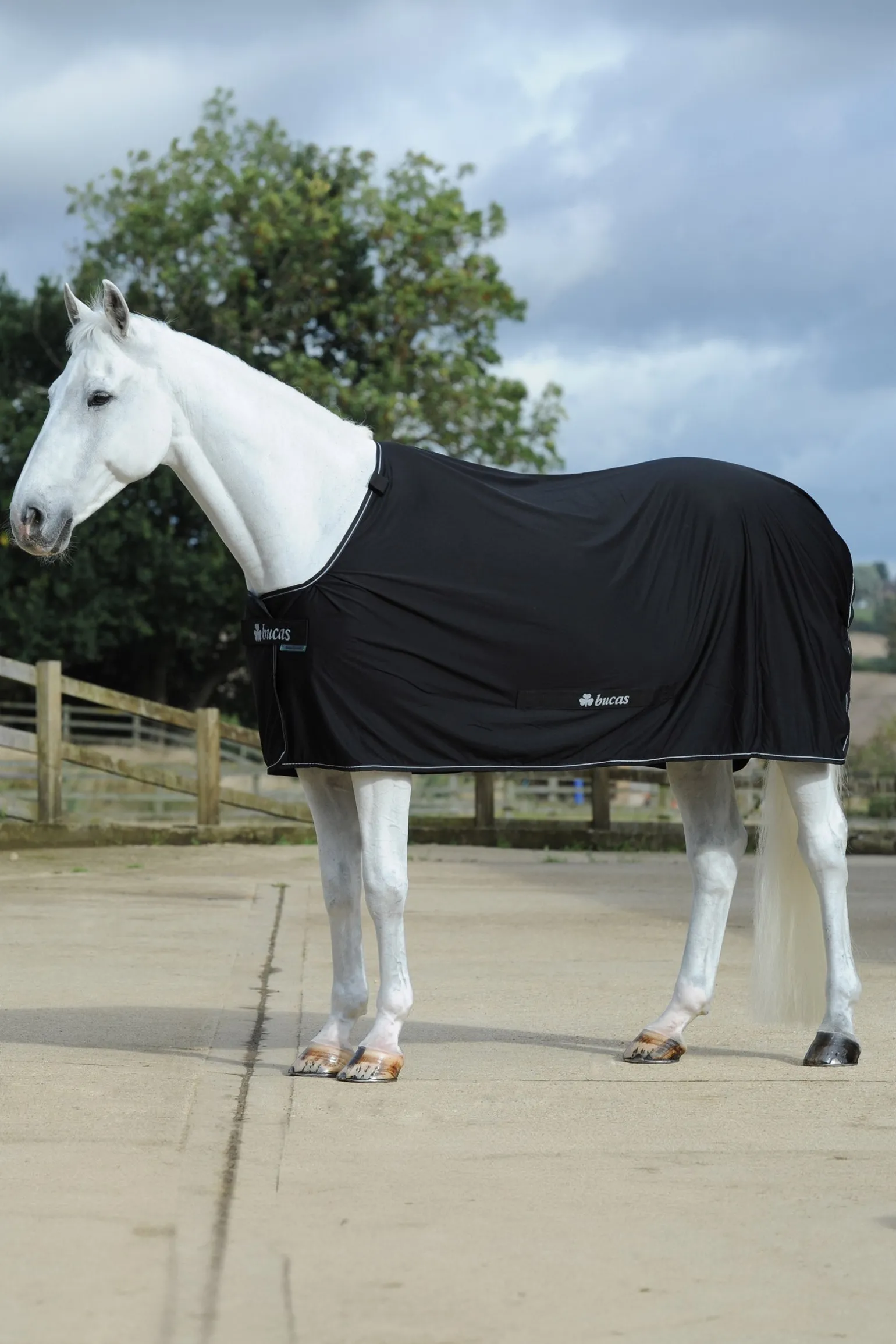 Power Abschwitzdecke + Halsteil Set