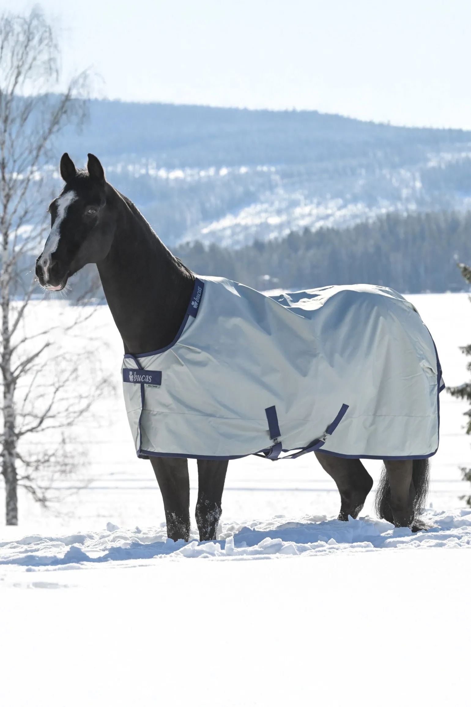 Power Extra Weidedecke mit Abschwitzfunktion, 300g