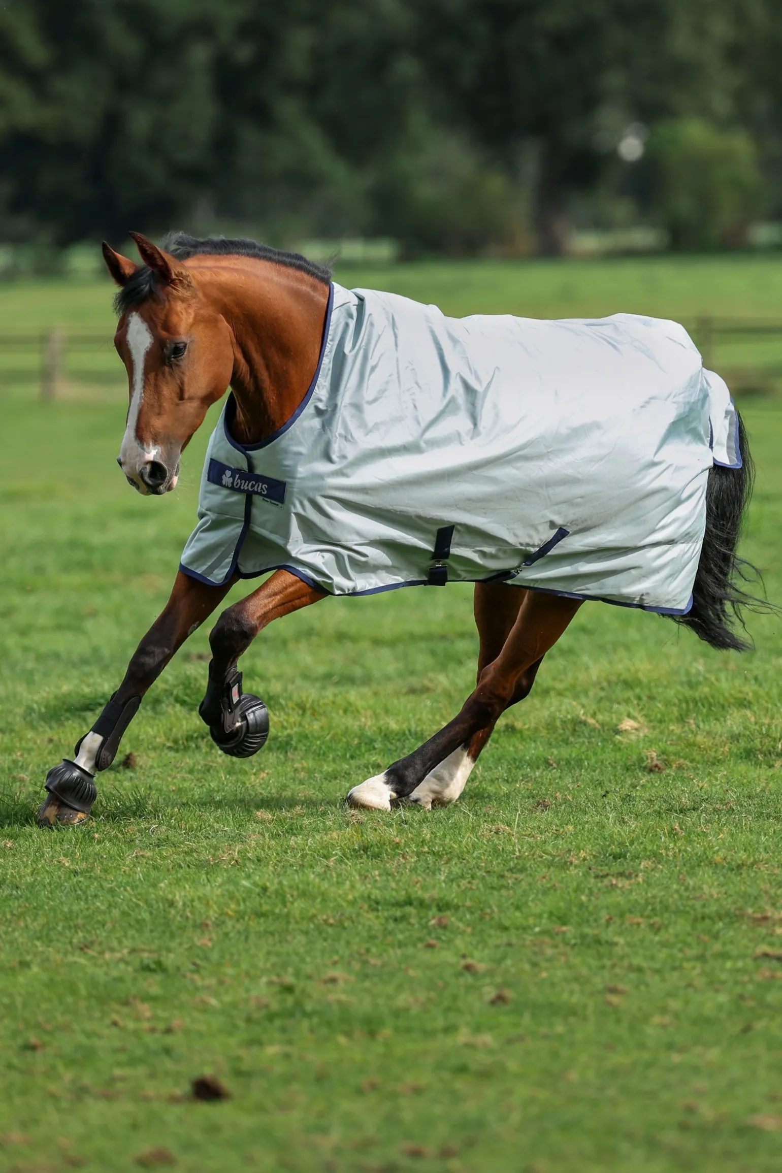 Power Light Weidedecke mit hohem Hals, 0 g