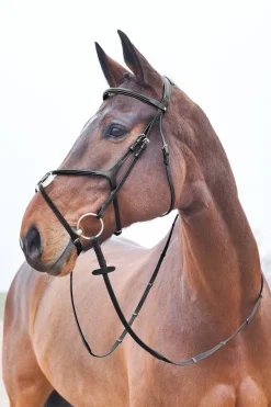 Prescott mexikanische Trense