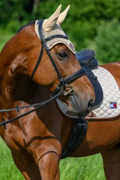 Princeton Fliegenhaube