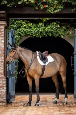 Prosorb Plain 2 Pocket Close Contact Pad