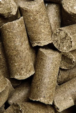 Pure Apple Delicious Speedies, Leckerli, 5kg