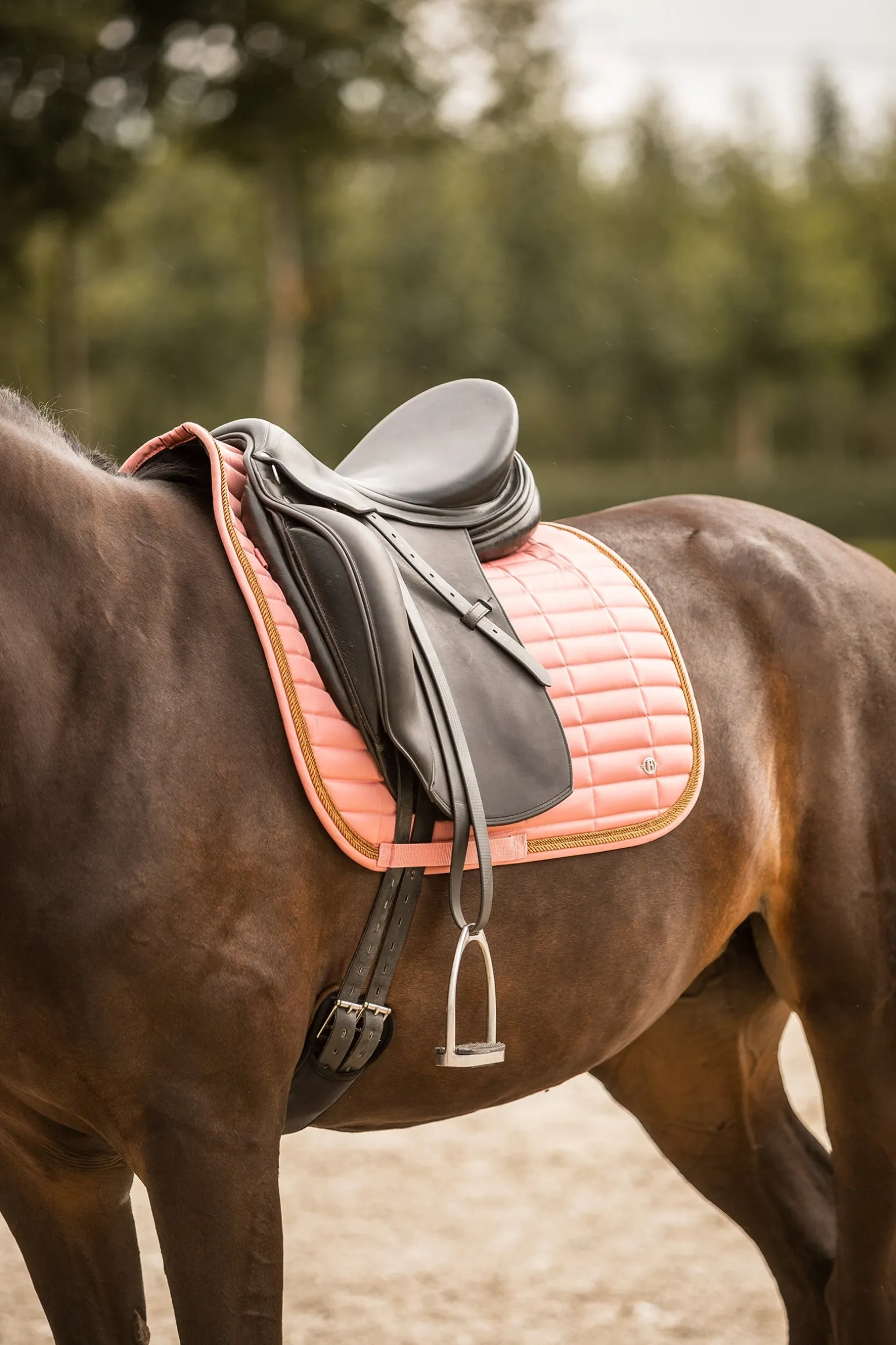 Quinn Dressurschabracke