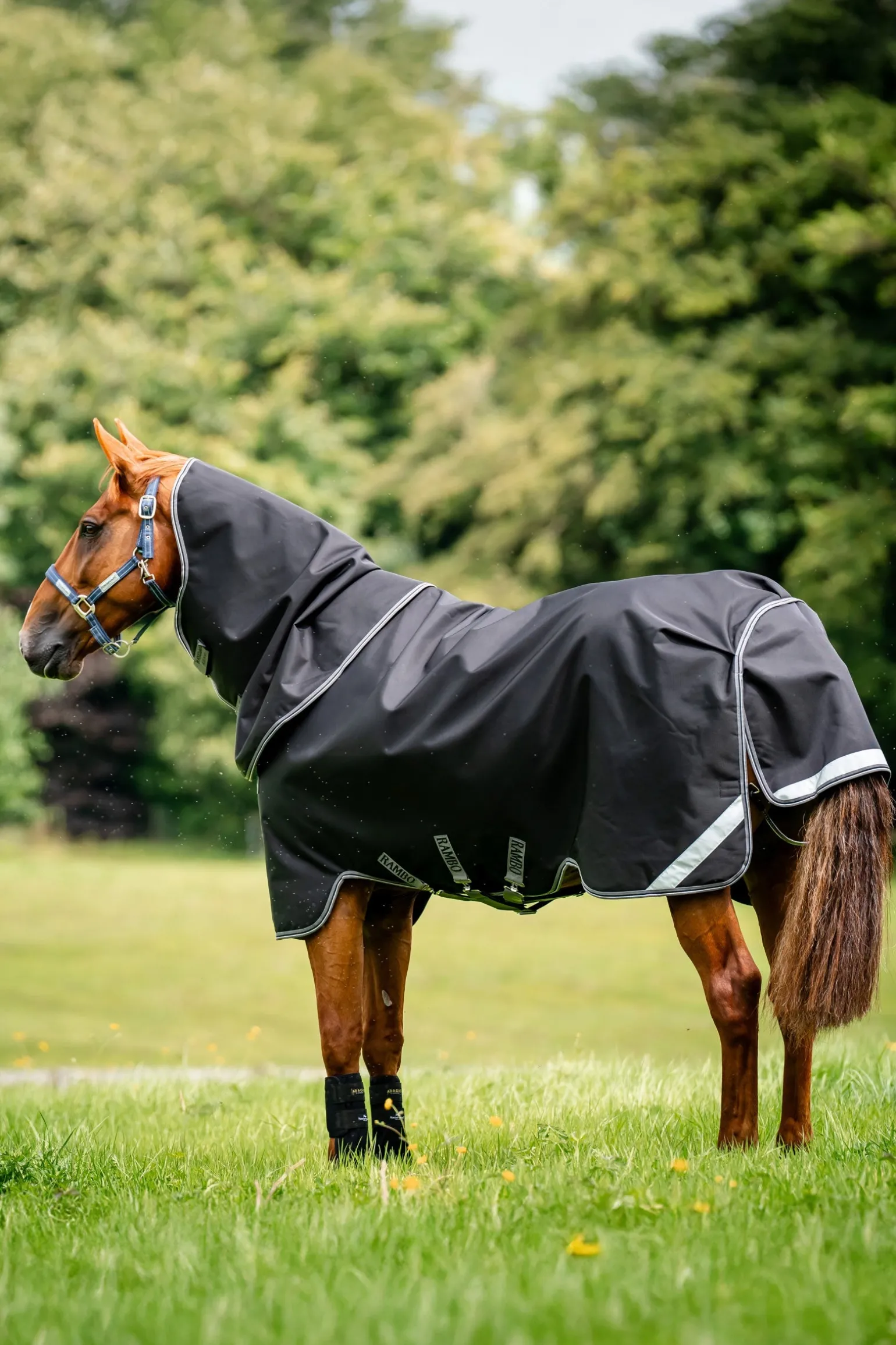 Rambo 1680D Plus Outdoordecke, 100 g