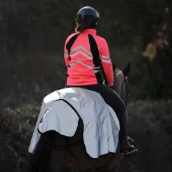 Reflektierende Ausreitdecke