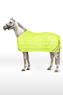 Reflektierende Netzdecke