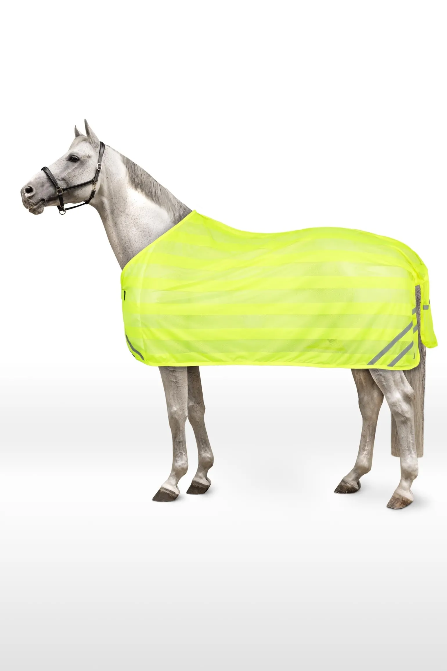 Reflektierende Netzdecke