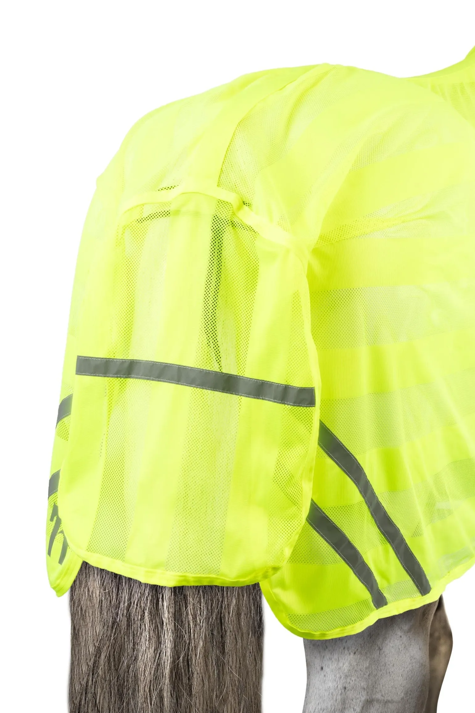 Reflektierende Netzdecke