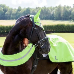 Reflektierender Brustgurt