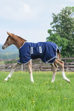 Regendecke für Fohlen, 50g