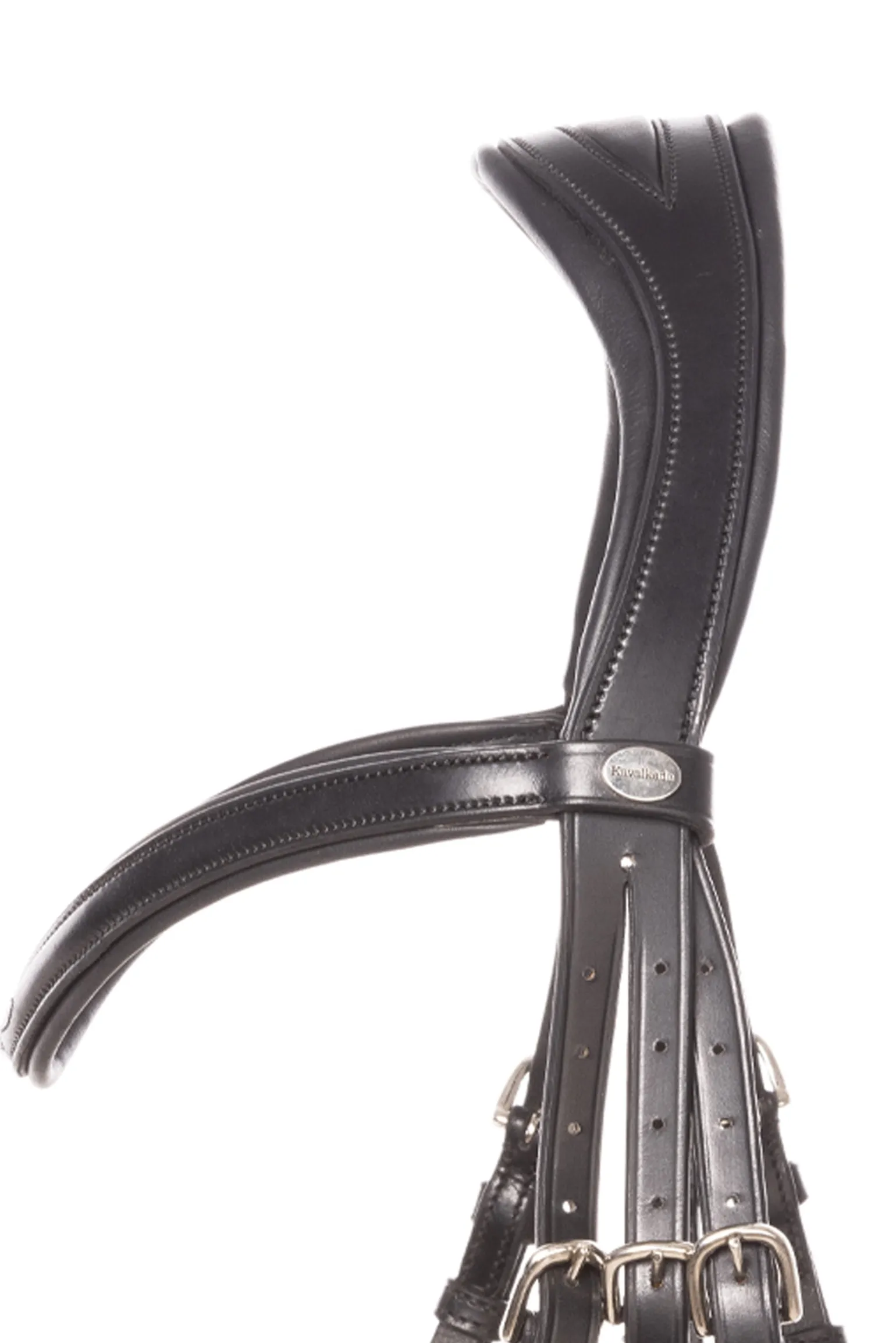 Robin Englische Trense