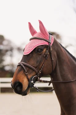 Rose Tonique Fliegenhaube