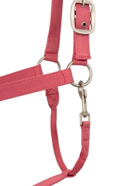 Rose Tonique Halfter