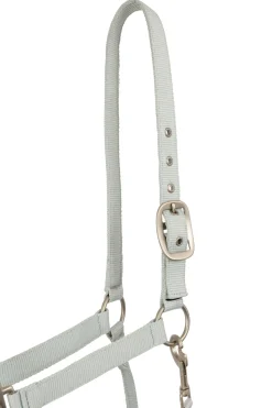 Rose Tonique Halfter