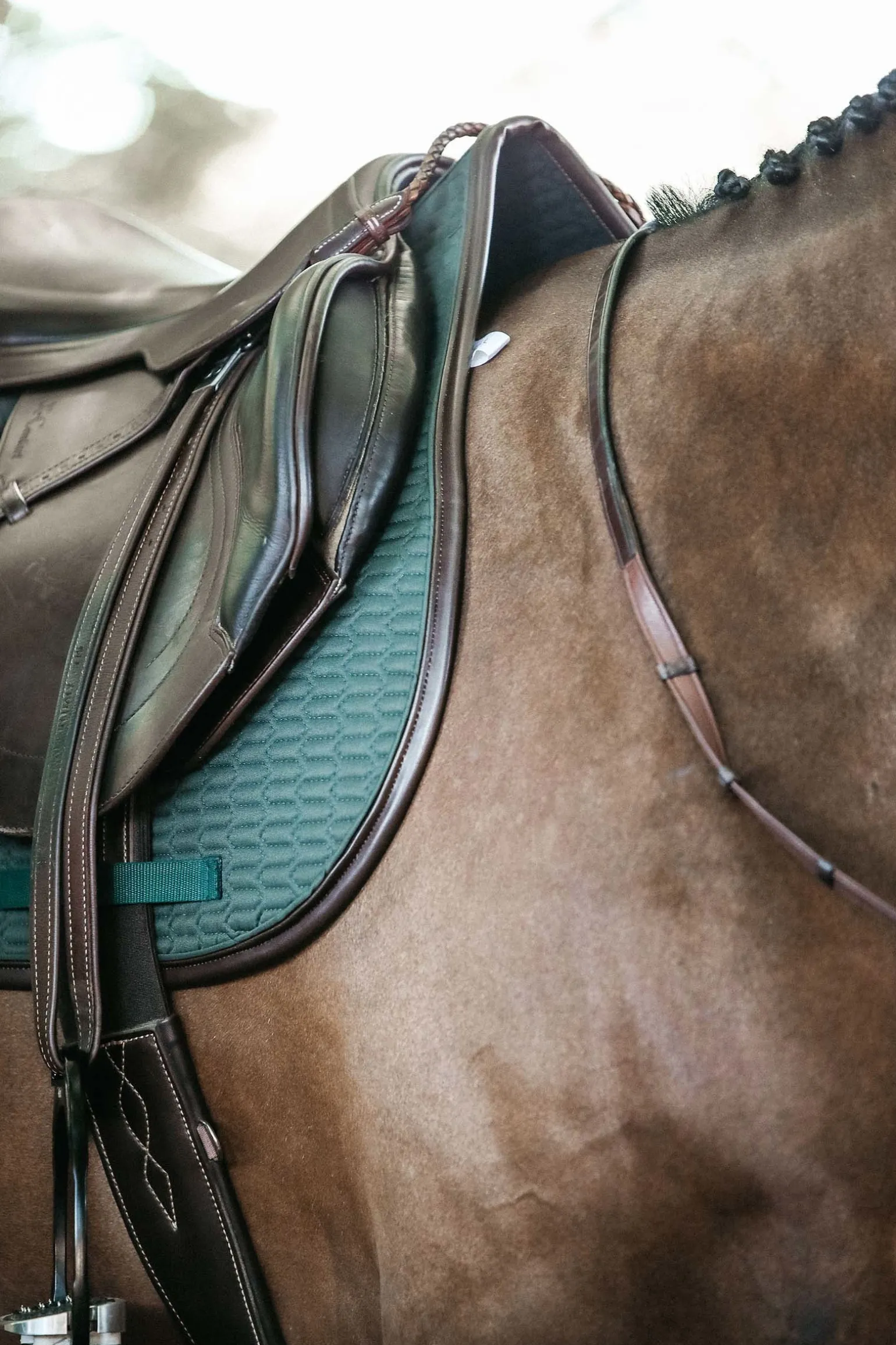 Saddle Pad Color Edition Leather Jumping